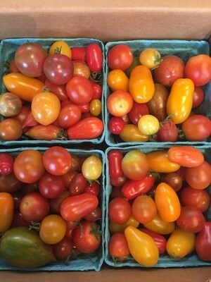 Sungold Cherry Tomatoes, WTF-1 pint