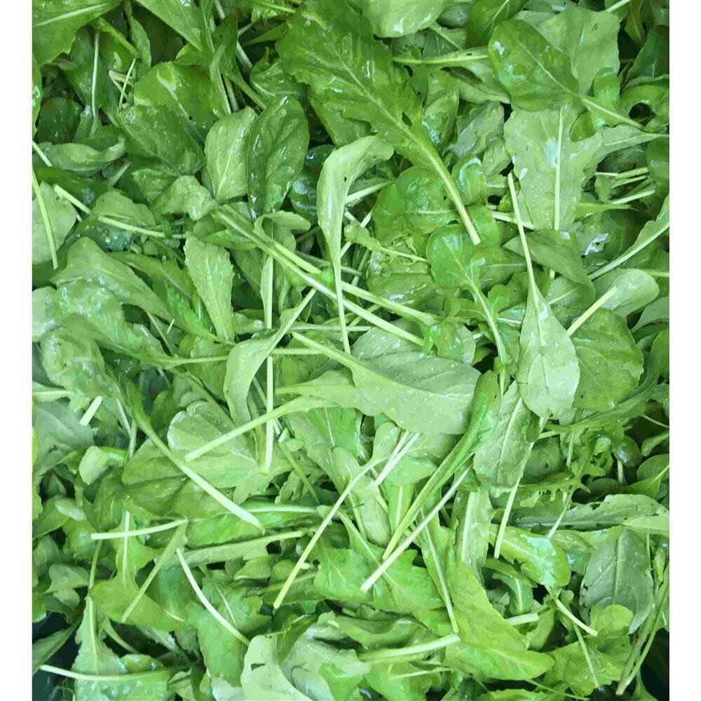 Arugula, Hayshaker-1/2#