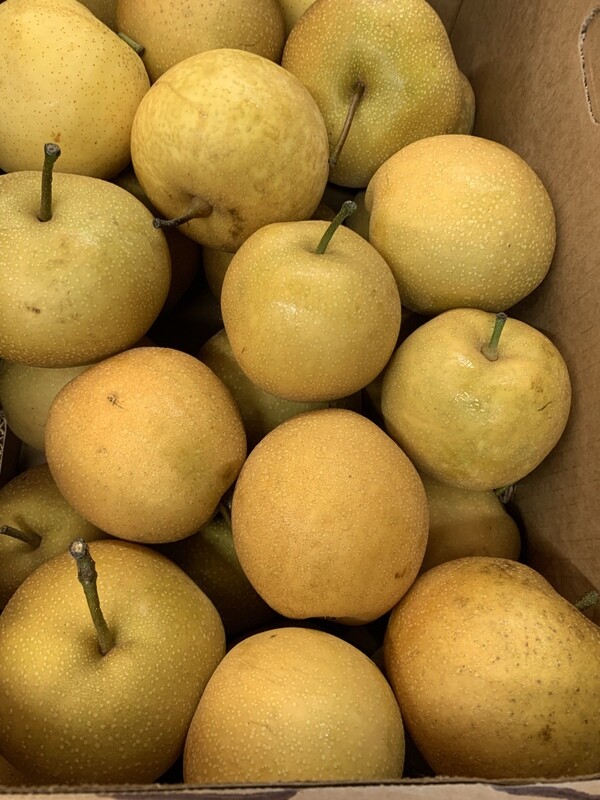 Asian Pears, Edward&#39;s Farm-avg 1.75#