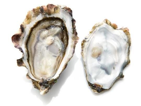 Summerstone Oysters, Hama Hama-1dz