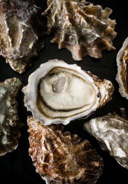 Eld Inlet, Hama Hama- 1Dz