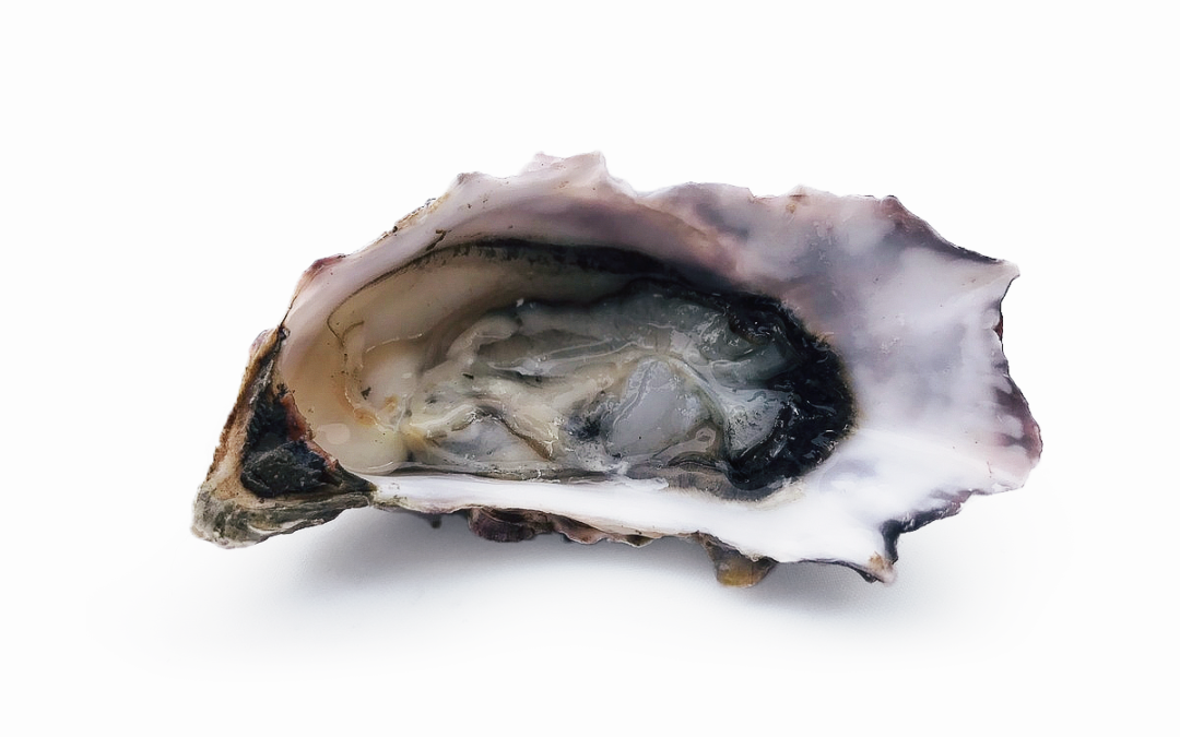 Pickering Passage Oysters, Hama Hama-1Dz