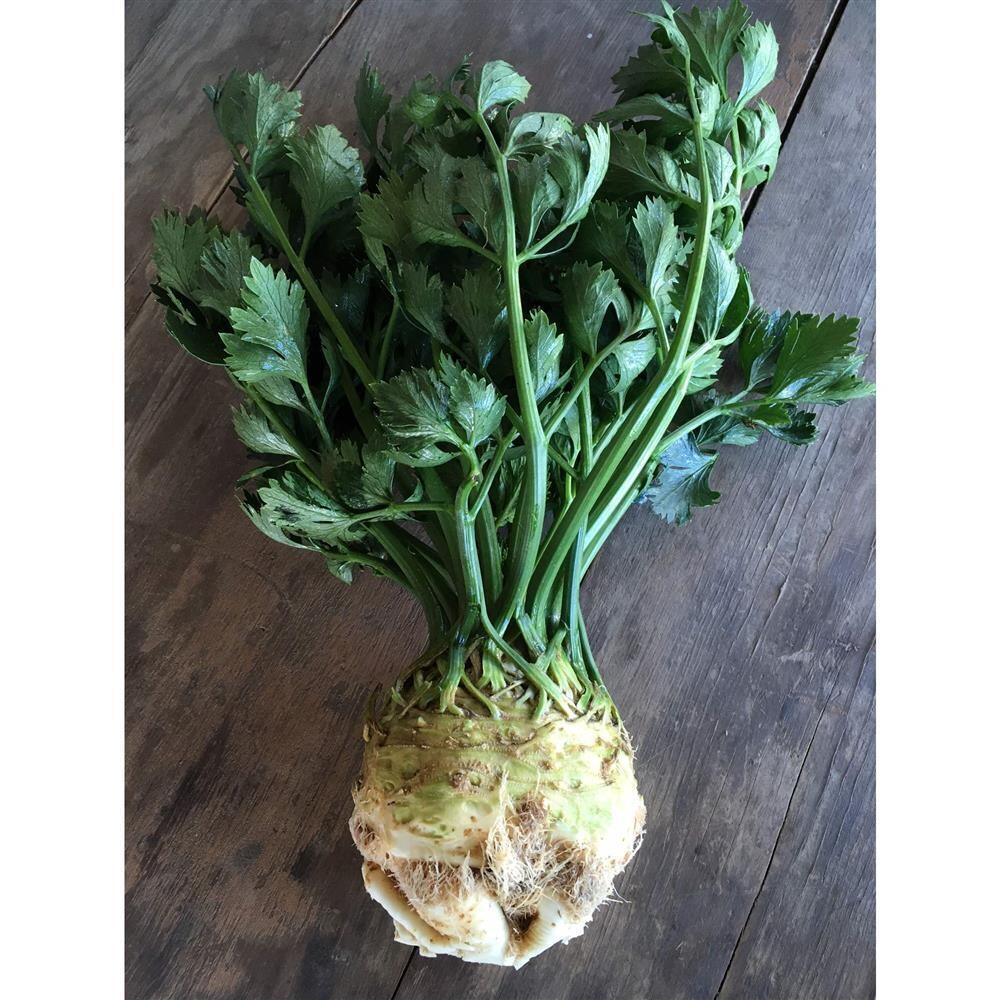 Celeriac, Hayshaker-1e