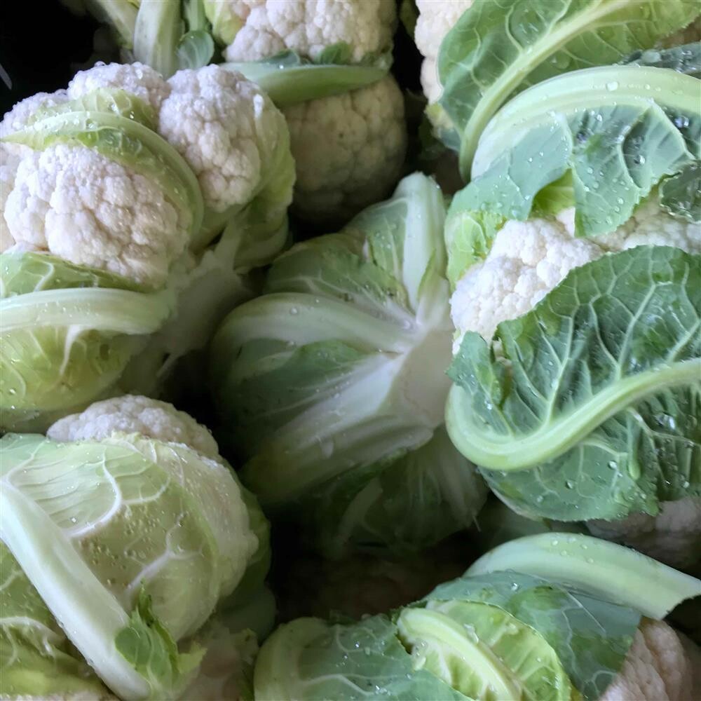 Cauliflower (Organic), CA-1e