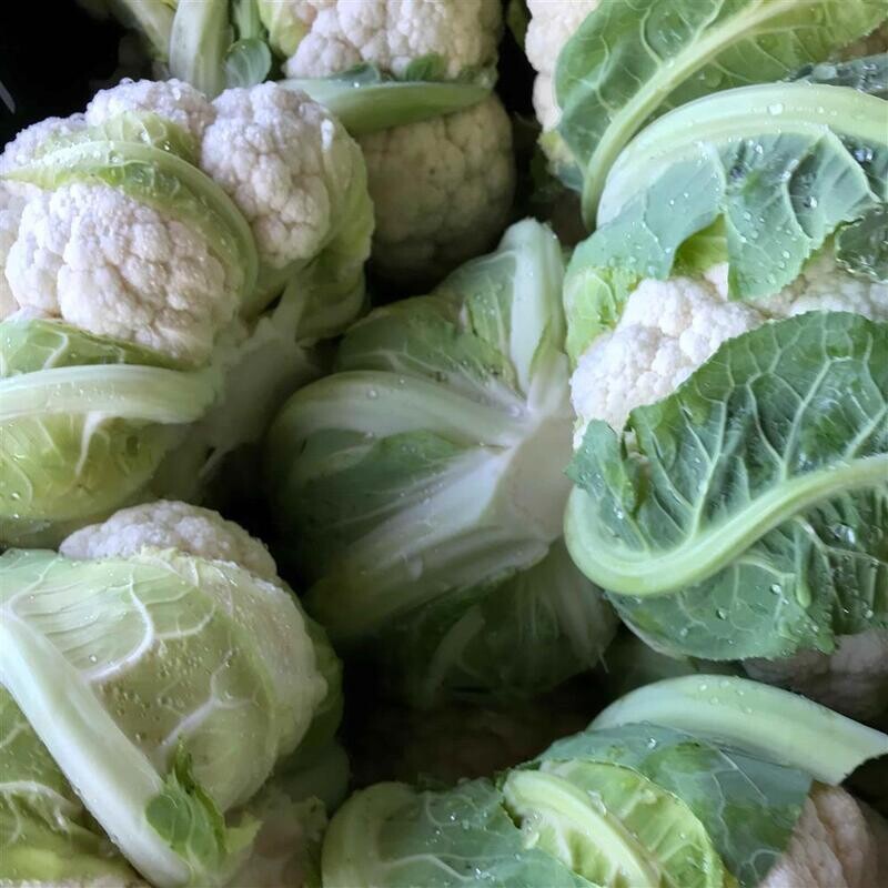 Cauliflower (Organic), CA-1e