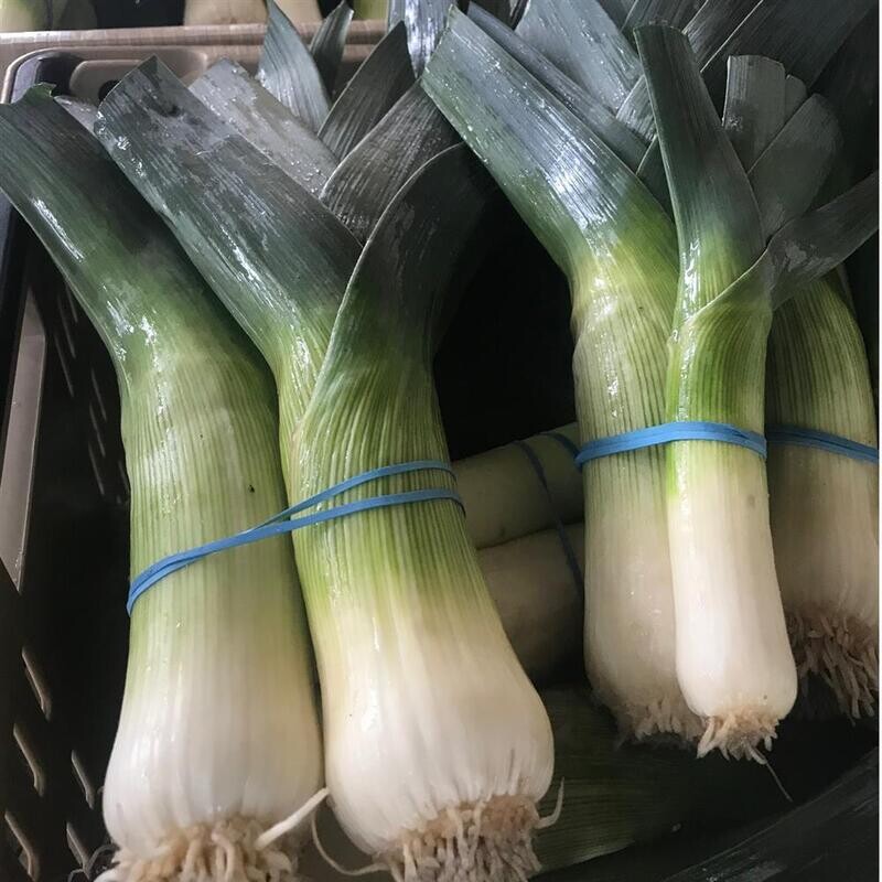 Leek, Ralph&#39;s Greenhouse- 1 bunch
