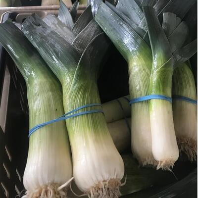 Leek, Ralph&#39;s Greenhouse- 1 bunch