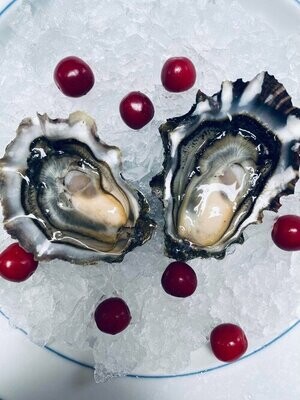 Cranberry Creek Oyster-1Dz
