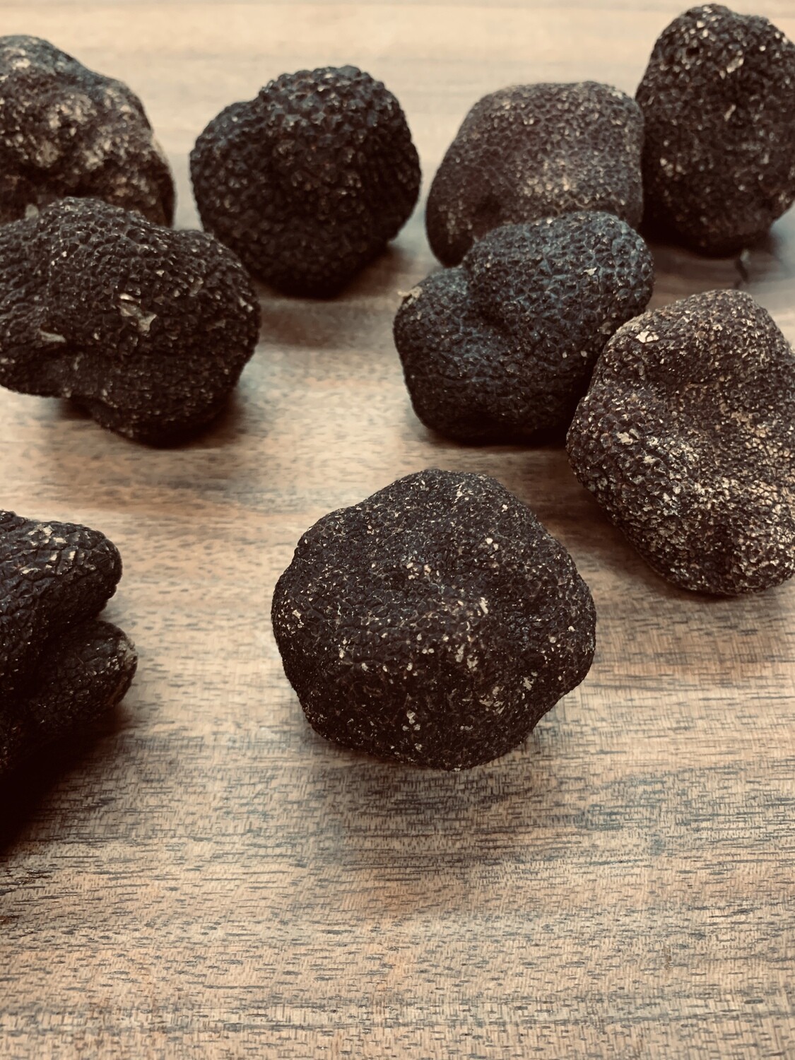 Black Fall Truffle (Burgundy)-1e