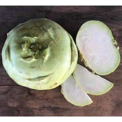 Kohlrabi (Large) Hayshaker Farm-1e