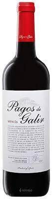 Pagos del Galir Mencia Valdeorras 2020