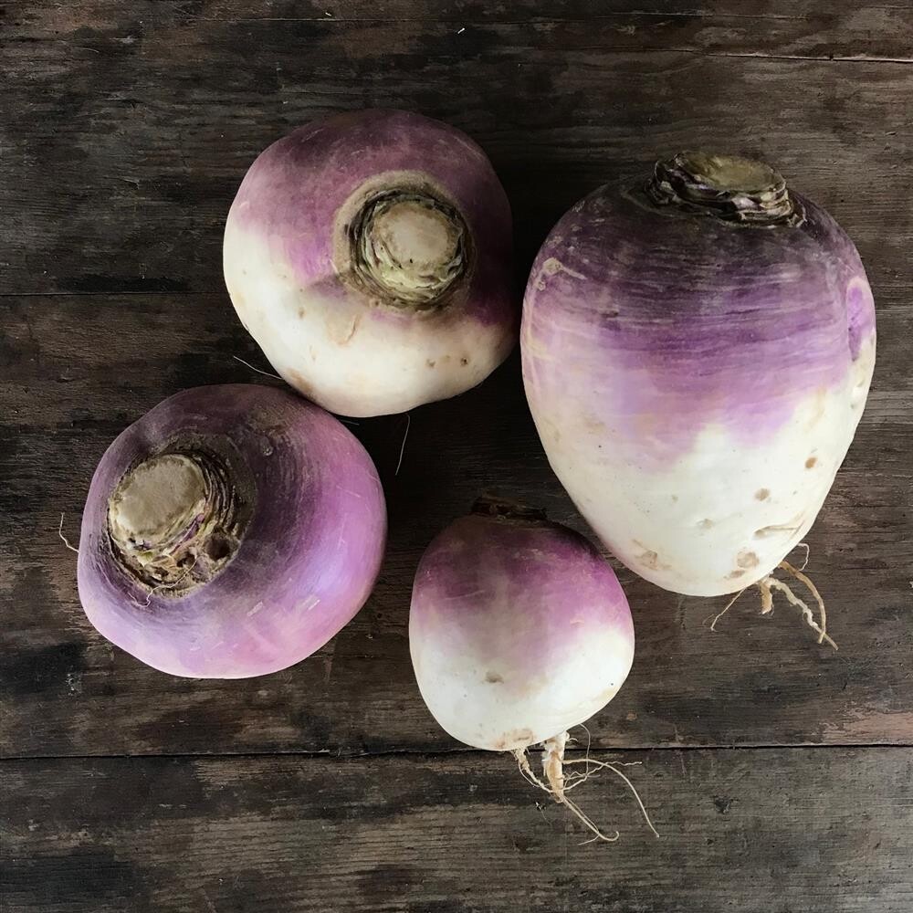 Purple Top Turnips, Westwind Organics-2#