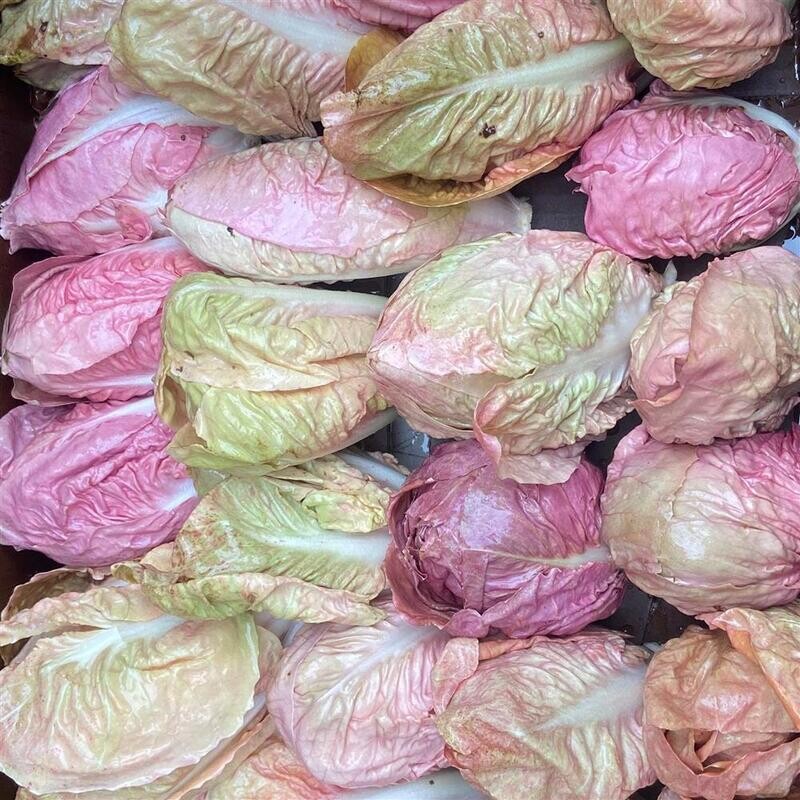 Rosalba (Organic), The Crows Farm-1e