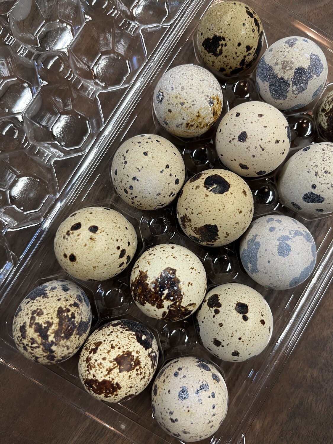 Quail Eggs, Wildenberg Farm-10e