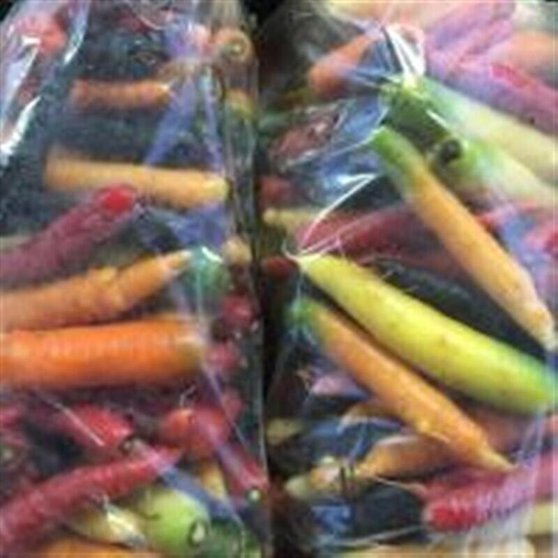 Rainbow Carrots, Ralph’s Greenhouse- 2#
