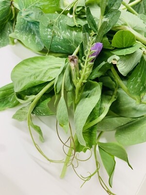 Pea Shoots, WTF-1/2#