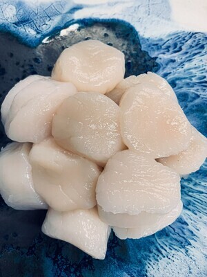 East Coast Scallops 