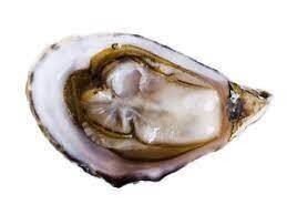 Hammersley Inlet Oysters, Hama Hama-1Dz