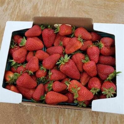 Strawberries (Organic)-1#