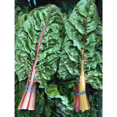Rainbow Chard, WTF-1 Bunch