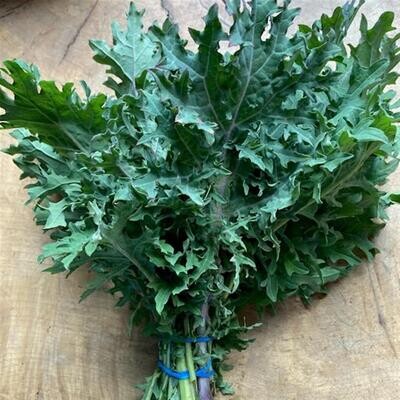Red Russian Kale, Hayshaker-1 bunch