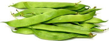 Romano Beans, Dixie Acres-1#