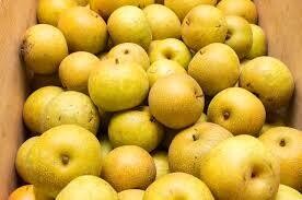 Asian Pears, Edwards Farm-1.5#