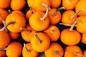 Pie Pumpkin, WTF, 1e