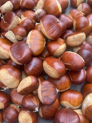 Fresh Chestnuts, WTF-1#