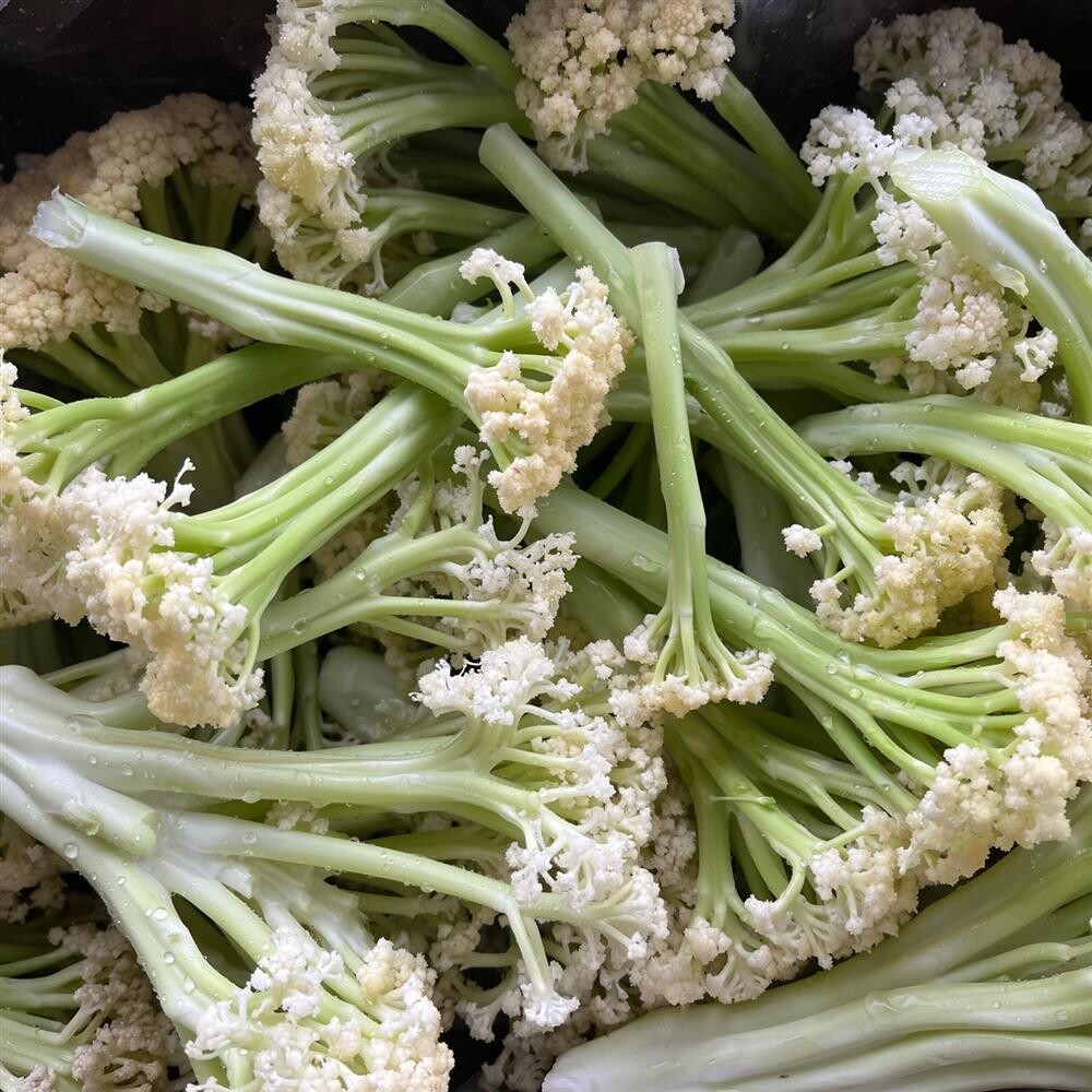 Fioretto Cauliflower, Hayshaker-1 head (large)