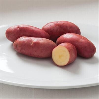  Fingerling Potato Medley (Organic)-1.5#