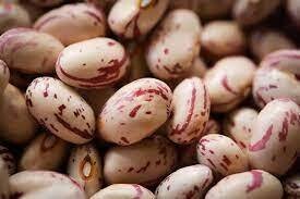 Cranberry Beans, Rancho Gordo-1#