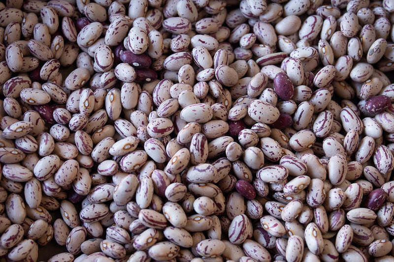 Cranberry Bean, Rancho Gordo-1lb