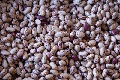 Cranberry Bean, Rancho Gordo-1lb