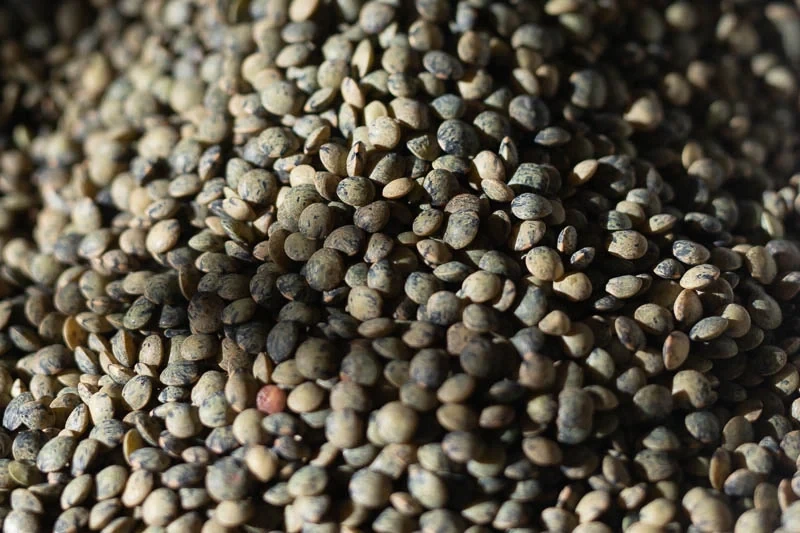 French Style Green Lentil, Rancho Gordo-1lb