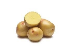 Gold Nugget Potato, WTF-2#
