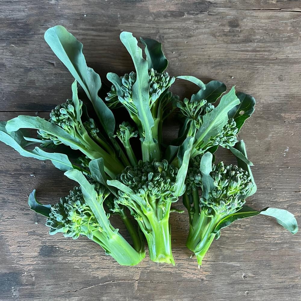 Broccoli (Organic), CA-1 Bunch