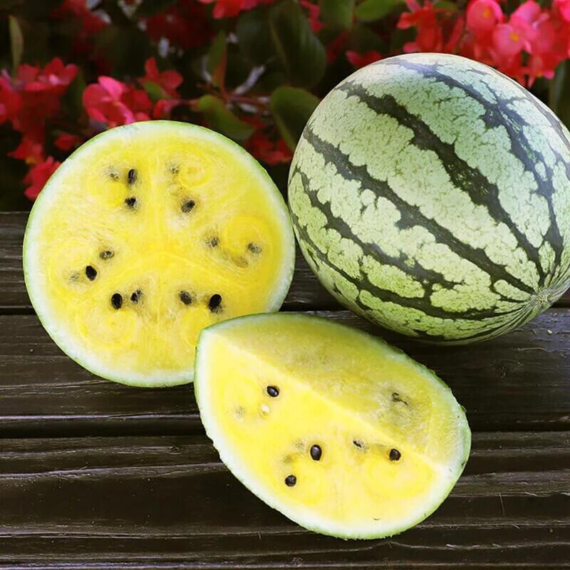 "Yellow Doll" Watermelon, Moonlight Melons-1e