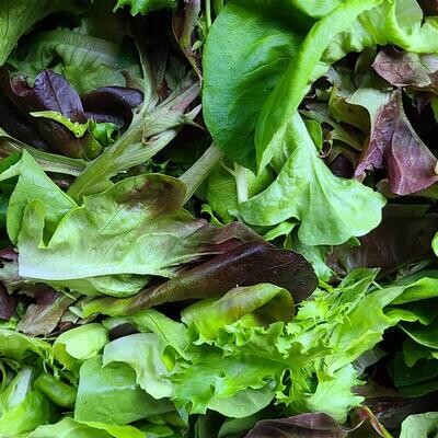 Lettuce Mix, WTF-1/2#