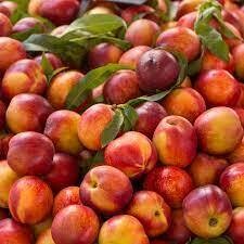 Nectarines, Calhouns-2#