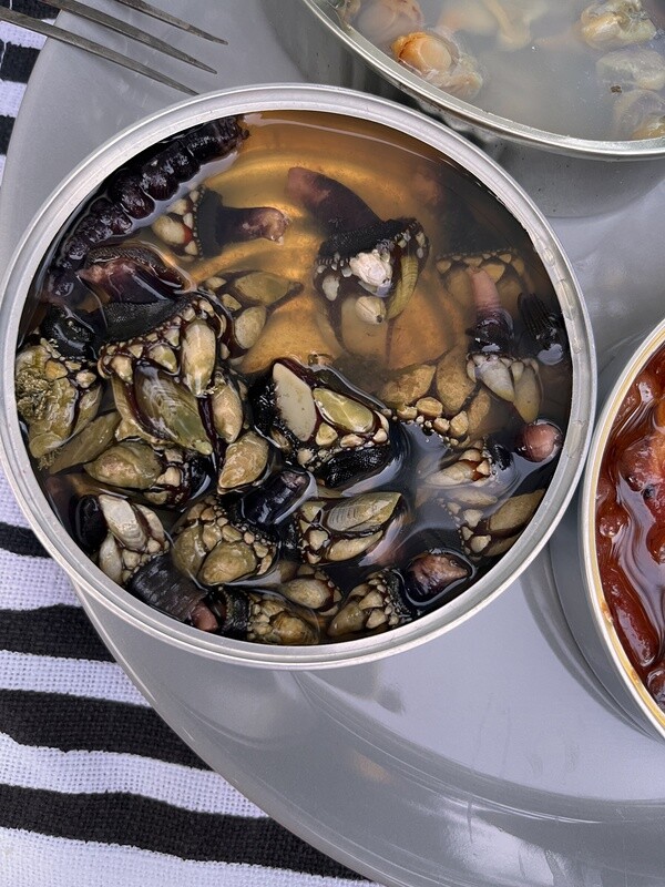 Barnacles in Brine, Conservas de Cambados-111g