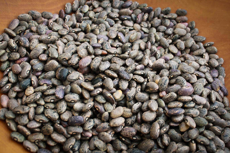 Moro Bean, Rancho Gordo-1#