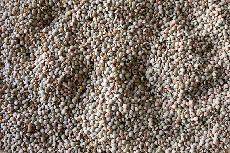 Puglia Lentil, Rancho Gordo-1#