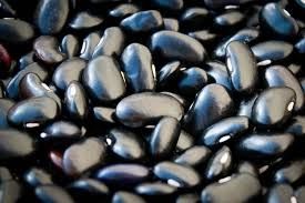 Ayocote Negro Bean, Rancho Gordo-1#