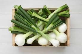 WW Spring Onion-1 Bunch