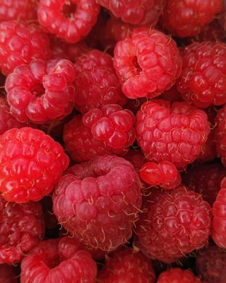 Raspberries, WTF-1/2 Pint