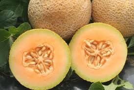 Tasty Bites Melon, Moonlight Melons- 1e