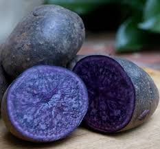 Purple Majesty Potatoes, WTF-2#