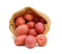 Red Potato (Organic)-avg 1.6#
