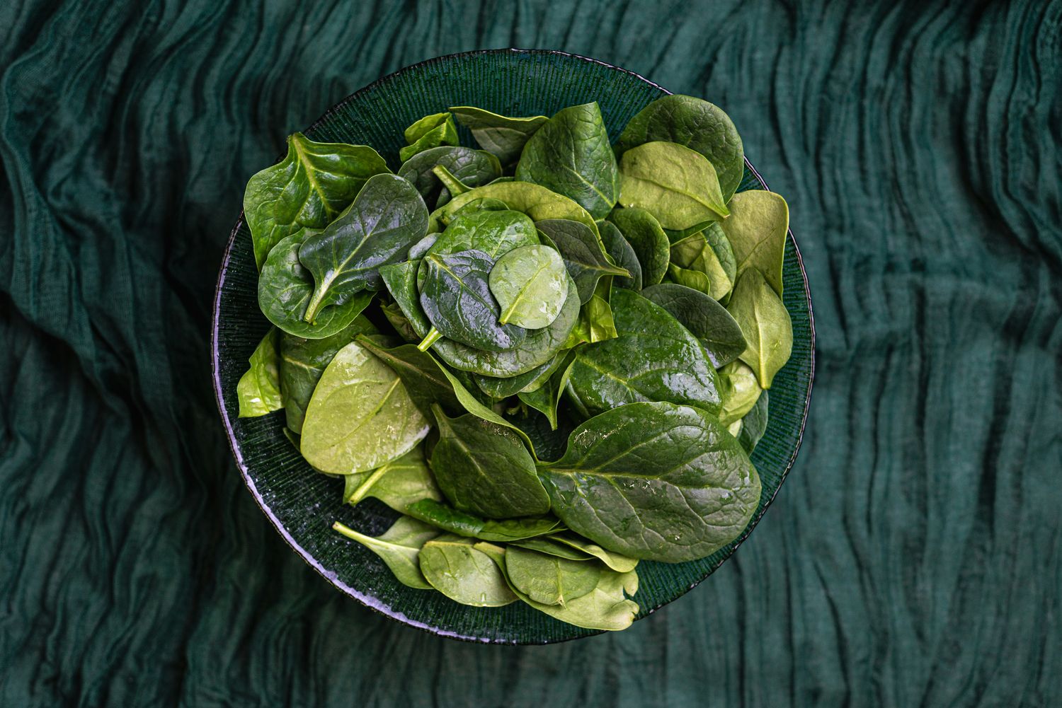 Spinach, WTF-1/2#